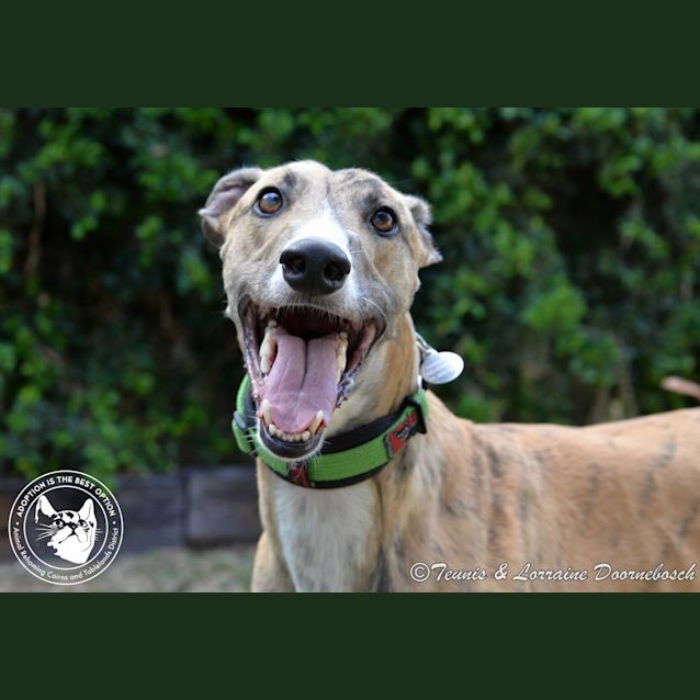 Photo of Ray's Reward