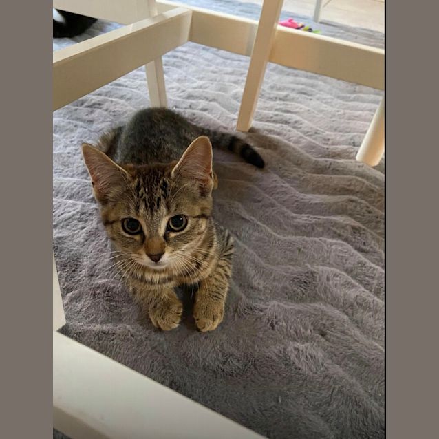 Photo of Cleo