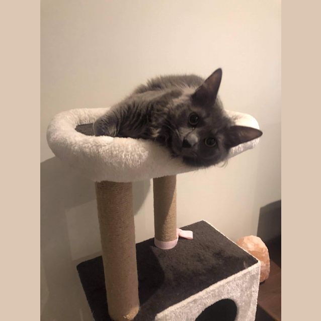 Photo of Lottie