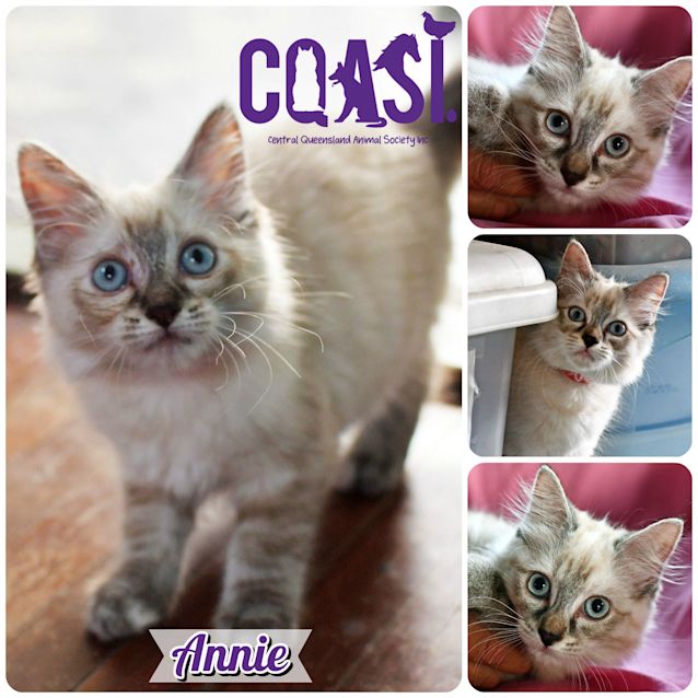 Photo of Annie