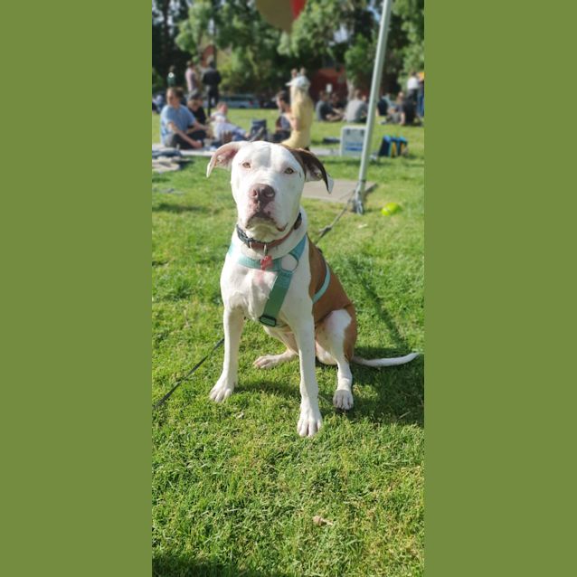 Photo of Kira