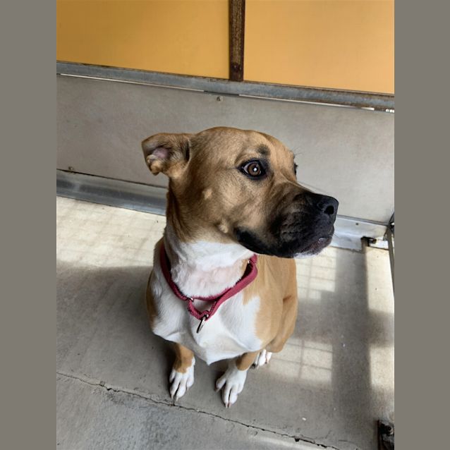 Photo of Duchess