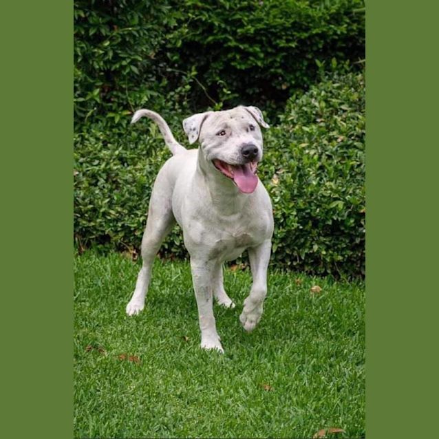 Photo of 5   Lucifer