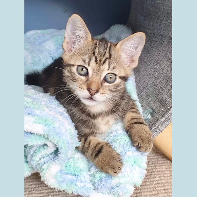 Photo of Archer 🧸️