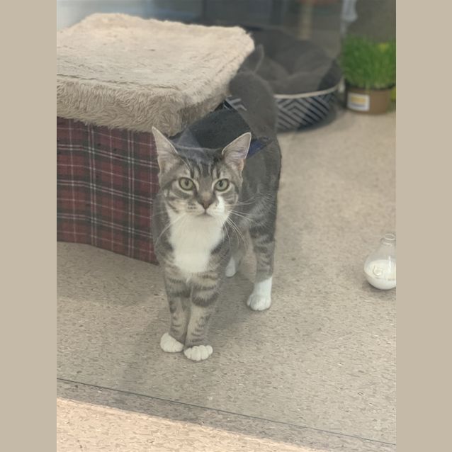 Photo of Lucky