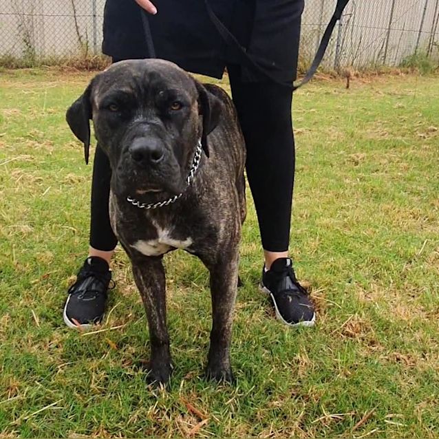 Photo of Mila Dl2567