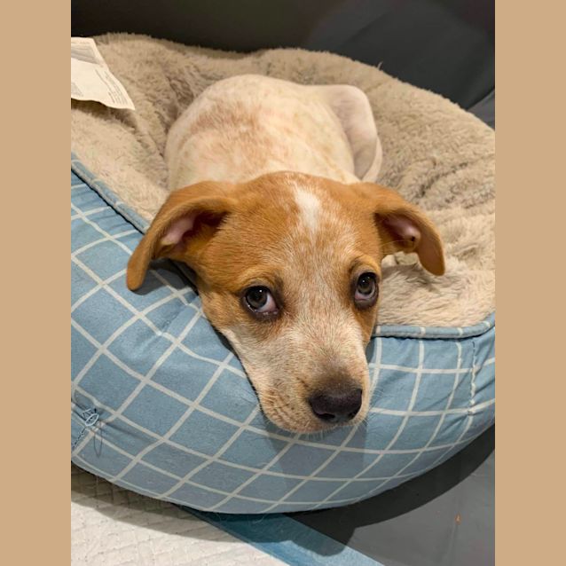 Photo of Holly ❣️