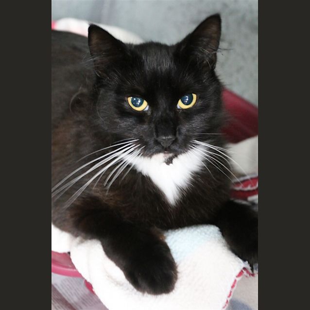 Photo of Minerva