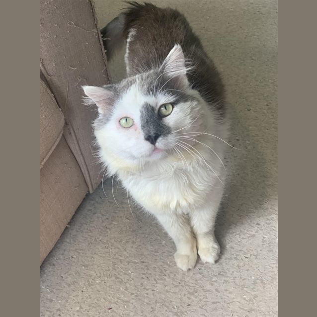 Photo of Barney