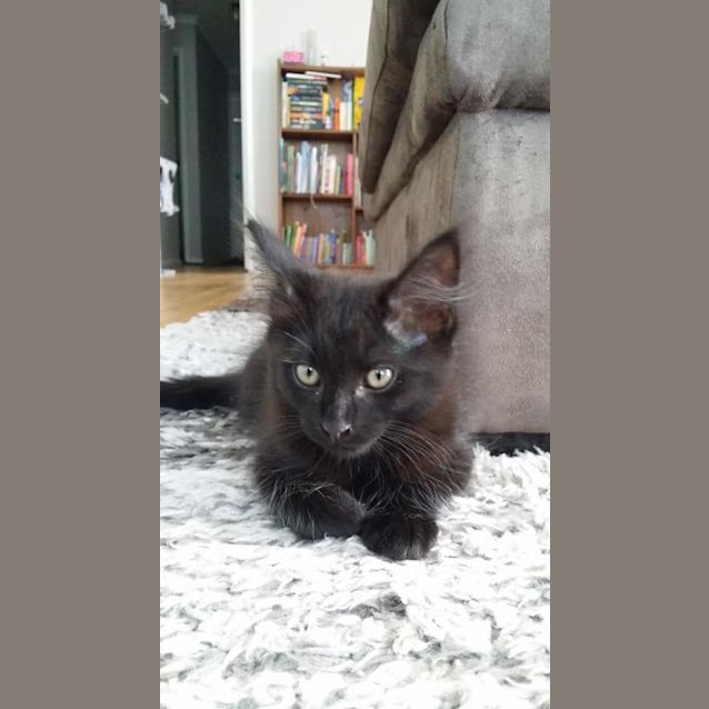Photo of Billy