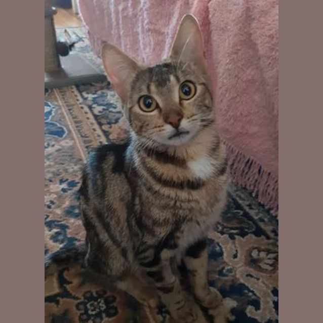 Photo of Quinn