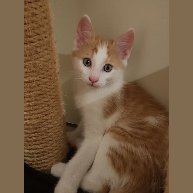 Photo of Leo 