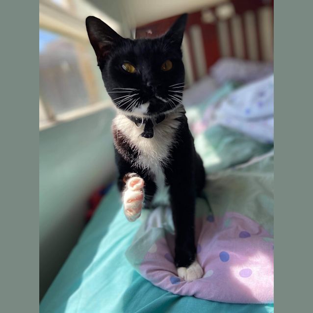Photo of Rosie