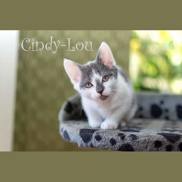 Photo of Cindy Lou