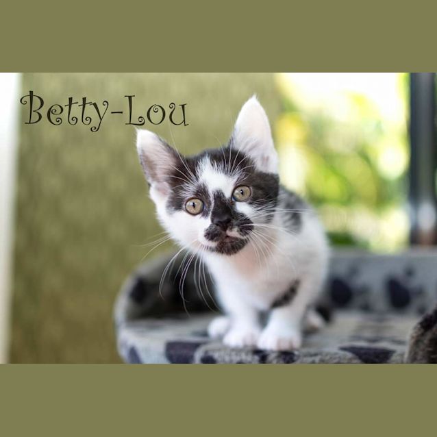 Photo of Betty Lou 