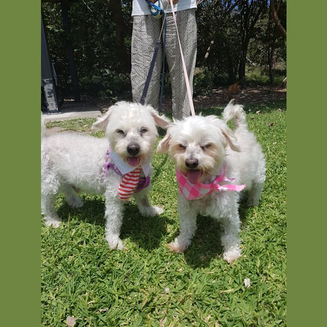 Photo of Alli And Cobba