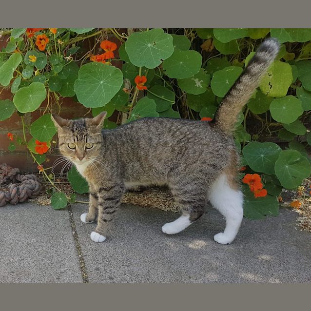 Photo of Lily