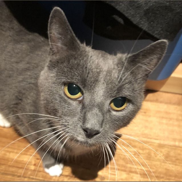 Photo of ⭐️⭐️⭐️ Millie ⭐️⭐️⭐️