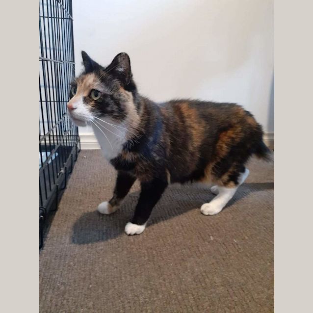 Photo of 🍭🍭🍭 Ella 🍭🍭🍭