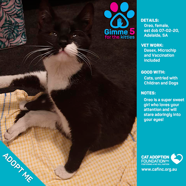 Photo of Oreo