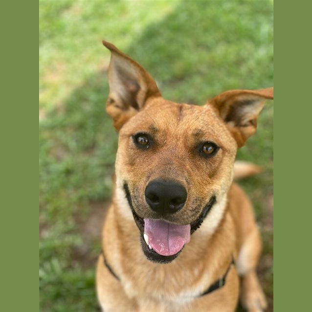 Photo of Chase 