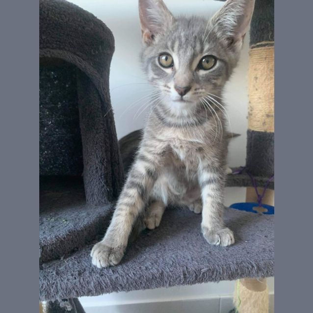 Photo of Tom