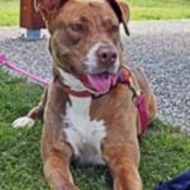 Photo of Lucy