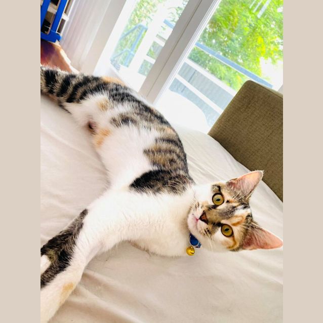 Photo of Bonnie 