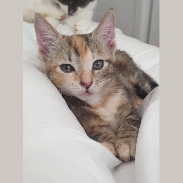 Photo of Adeline 🌼