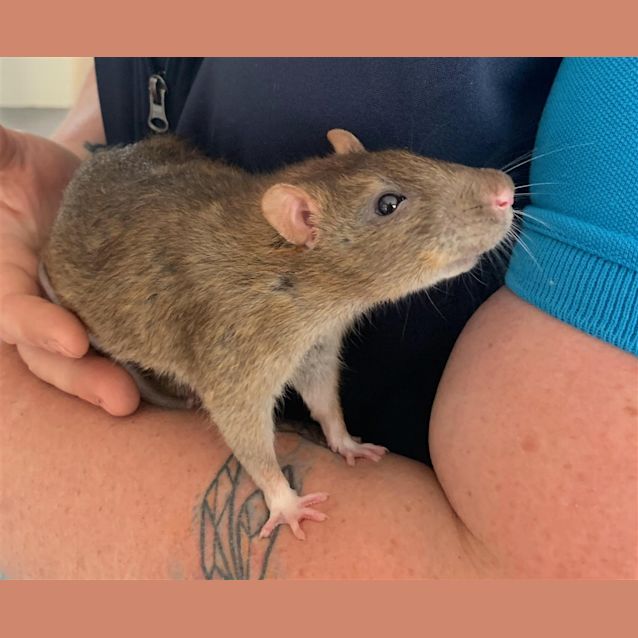Photo of Tim Tam