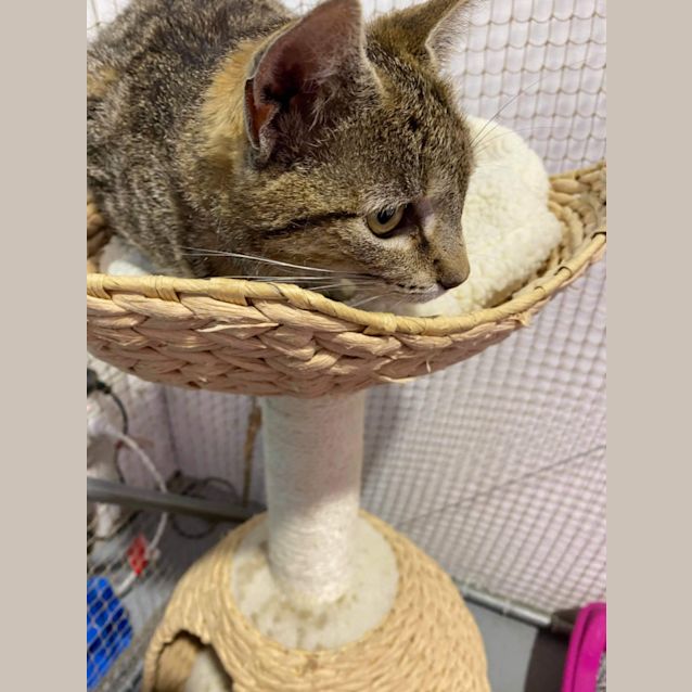 Photo of Tabitha