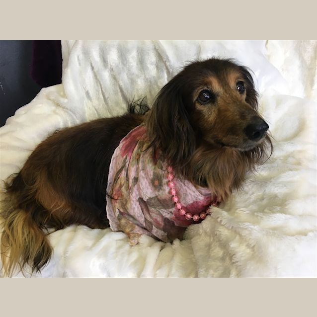 Photo of Ruby
