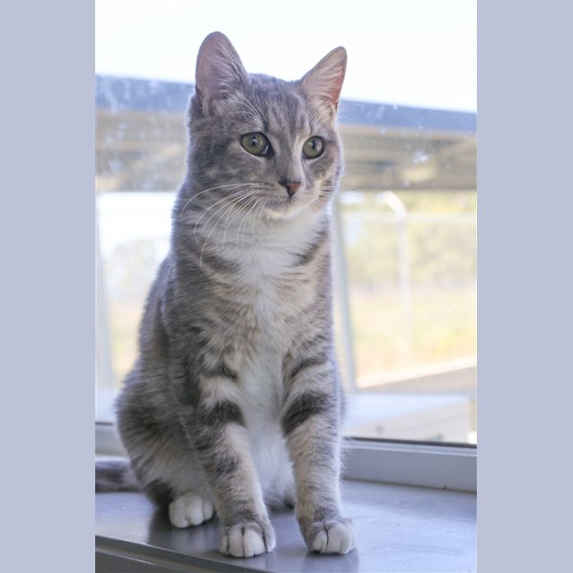 Photo of Sassy