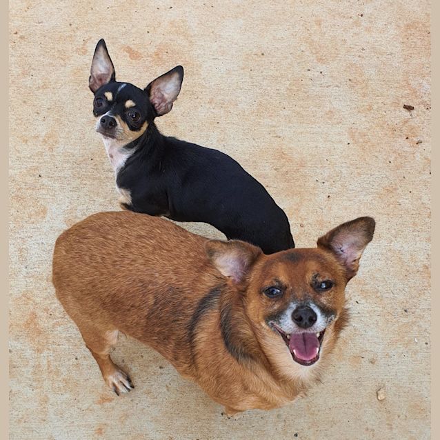 Photo of Coco And Mac Killop