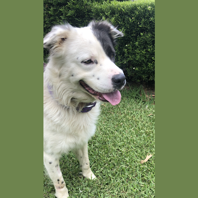 Photo of Jake