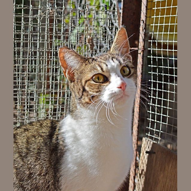 Photo of Tegan