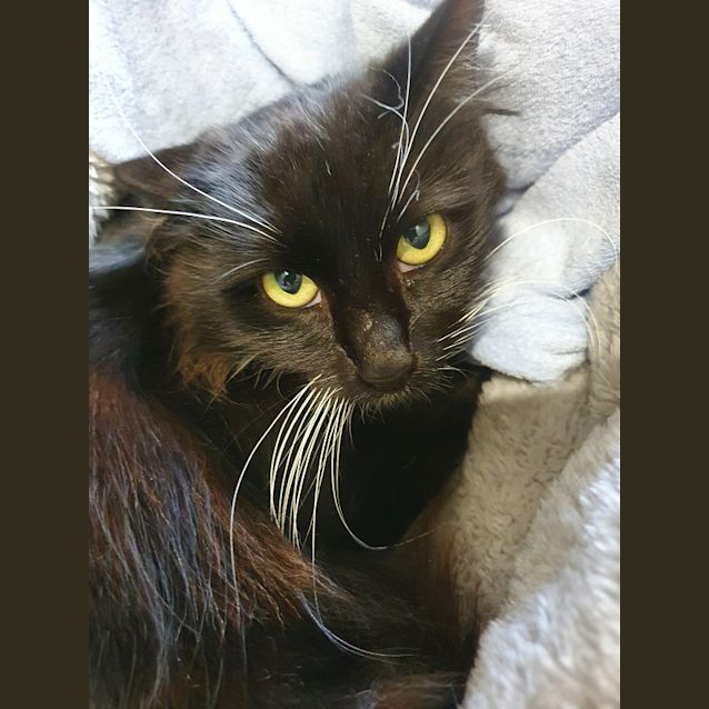 Photo of Shirley