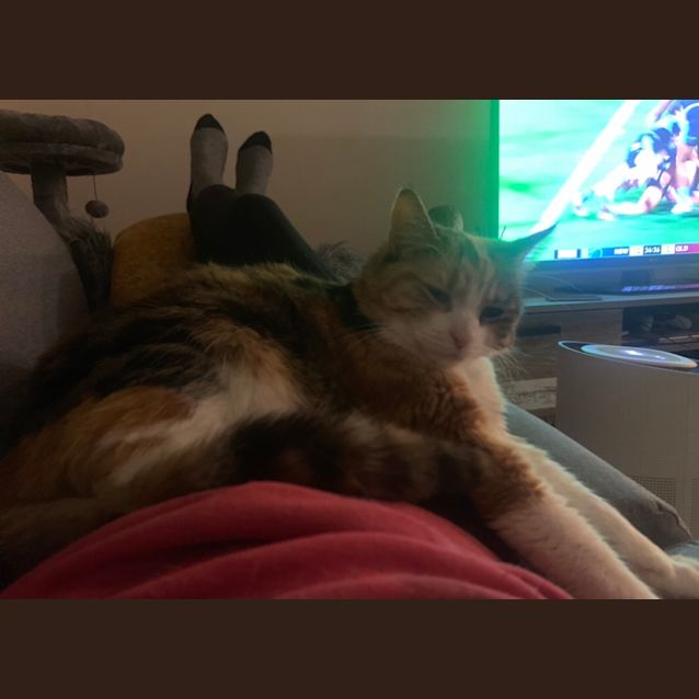 Photo of Miss Princess Polly