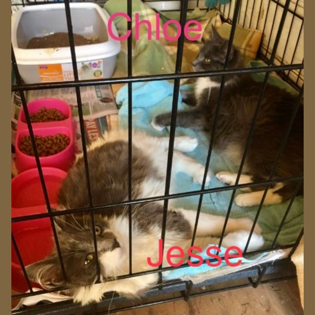 Photo of Jesse