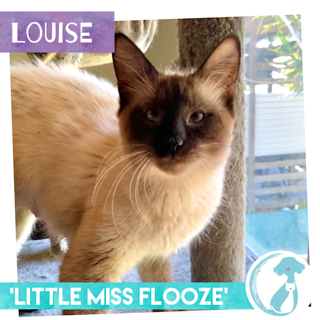 Photo of Louise