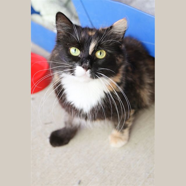 Photo of Lulu
