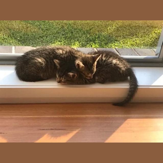 Photo of Lemon And Lime