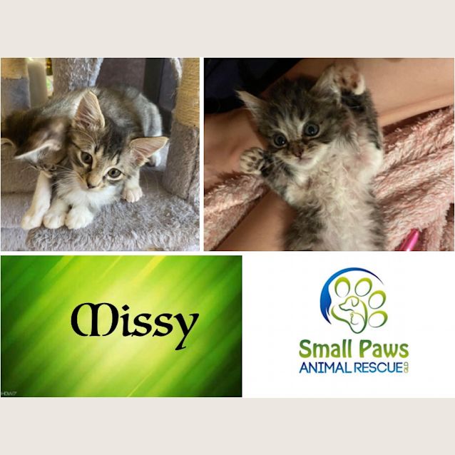 Photo of Missy