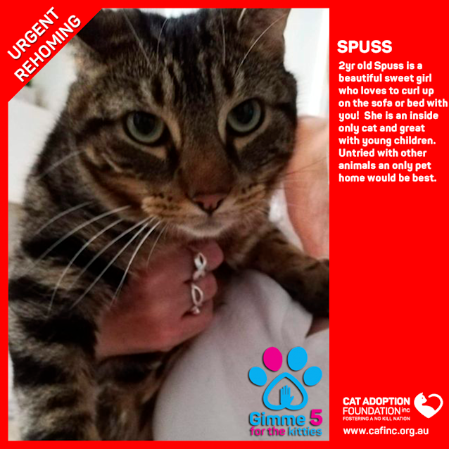 Photo of Spuss
