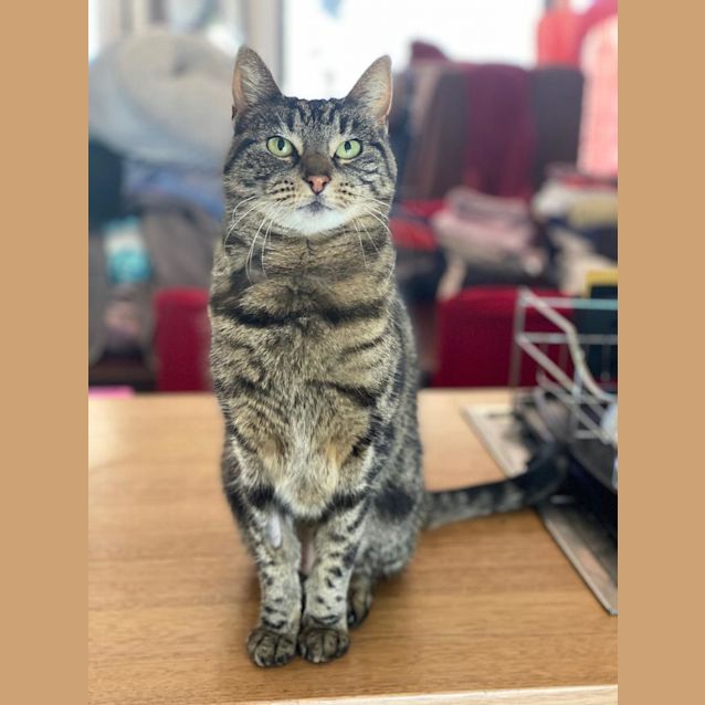 Photo of Twinkles (Now Wrinkles)