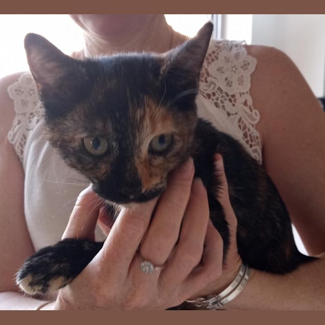 Photo of Libby 