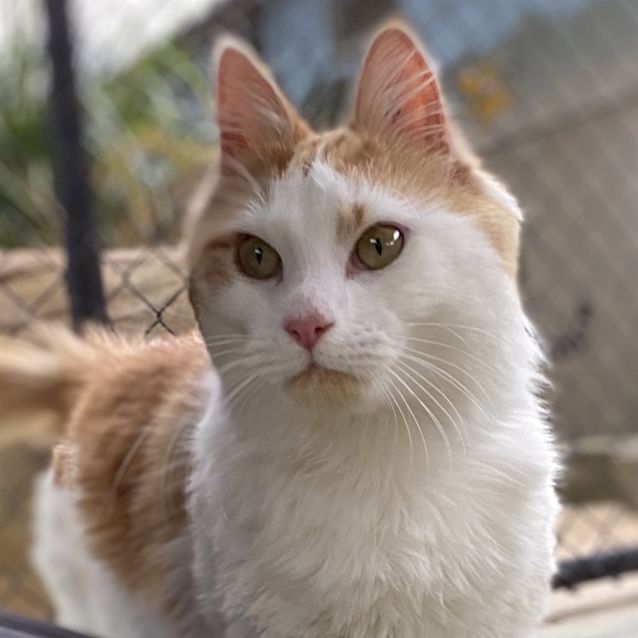 Photo of Archie