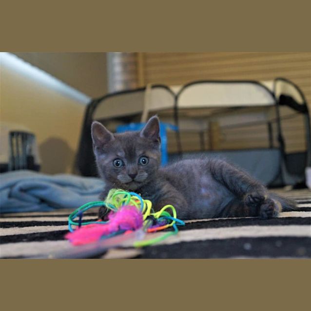 Photo of Tom 