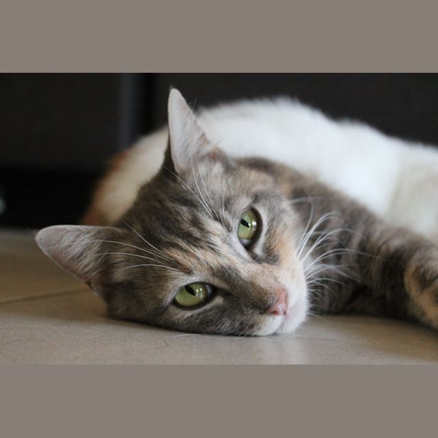 Photo of Lacie