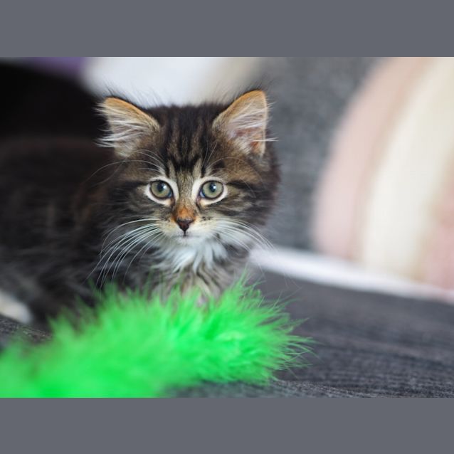 Photo of Rueben + Ted 